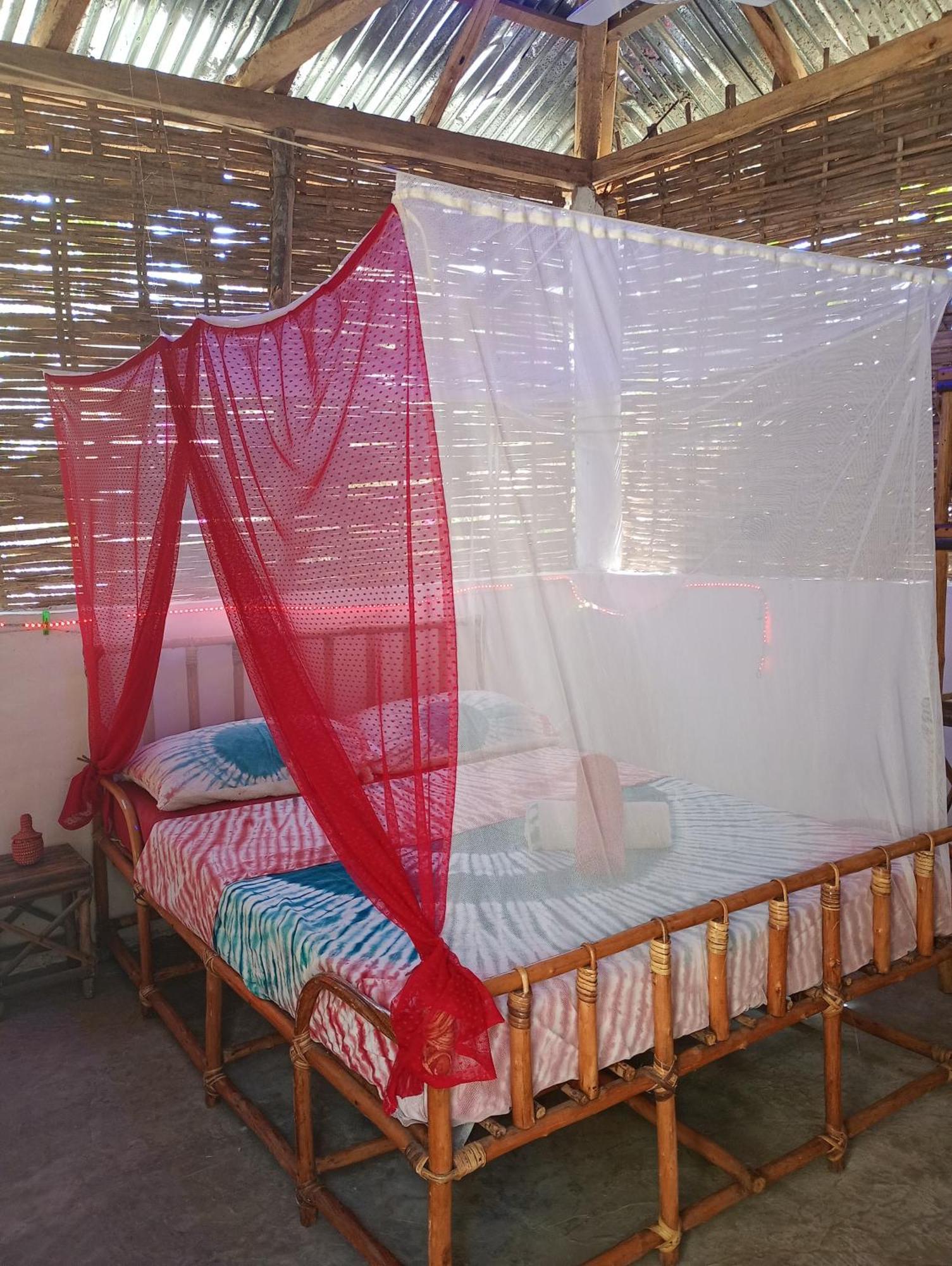 Chez Bethy & Baboulaye Jungle Et Ocean Villa Abeme Room photo