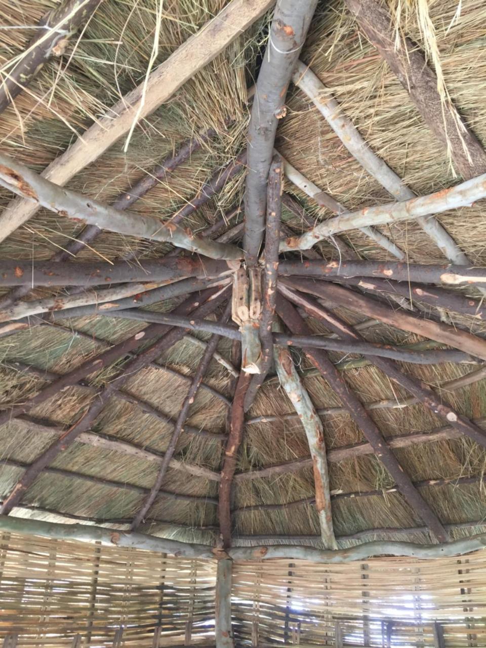 Chez Bethy & Baboulaye Jungle Et Ocean Villa Abeme Exterior photo